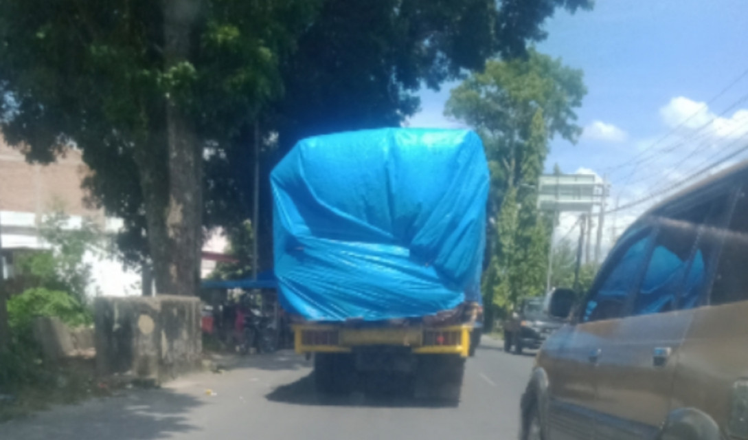 Dinas Kehutanan Provsu Diminta Periksa Gudang Kayu di Jalan Sisingamangaraja dan Terminal Tanjung Pinggir