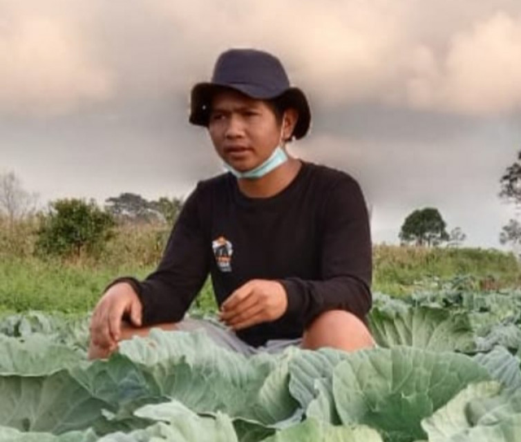 Pupuk dan Obat Mahal, Harga Sayur Kol di Simalungun Anjlok