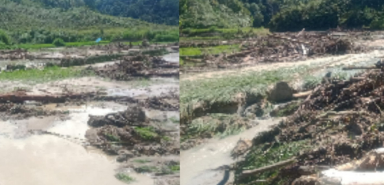 Tanggul Sungai  Aek Nauli Jebol Petani Terancam Gagal Panen