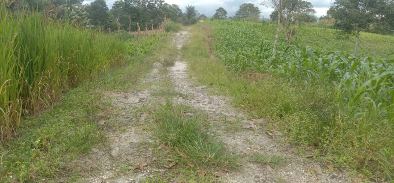 Proyek Pengerasan Jalan Juma Pulian Dana Desa Tahun 2021 Akan Dilapor ke APH