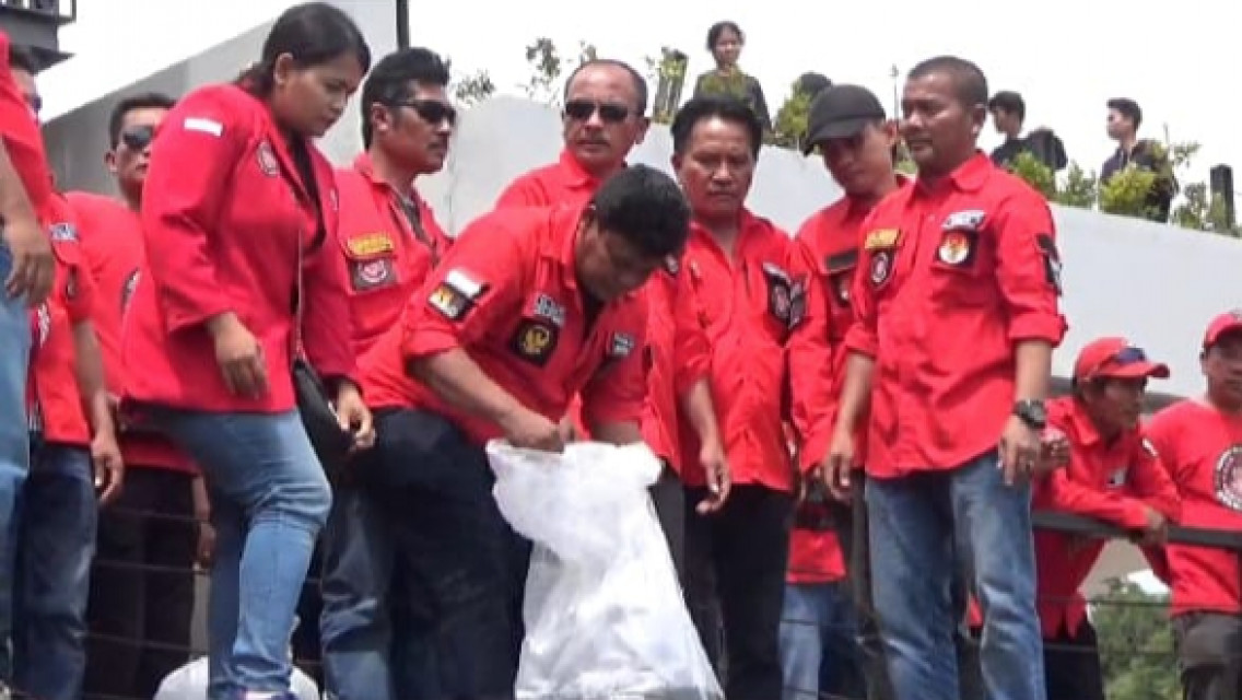 DPC Pemuda Batak Bersatu Kabupaten Simalungun Tabur 10ribu Bibit Mujahir di Danau Toba