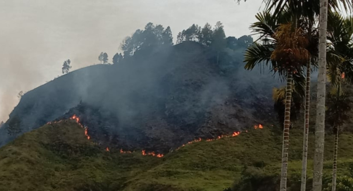 3 Hektar Pebukitan Haranggaol Hangus Terbakar