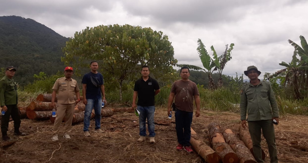 Diberitakan Marak Aksi Ilegal Logging, Unit Tipidter Polres Taput Cek Lokasi