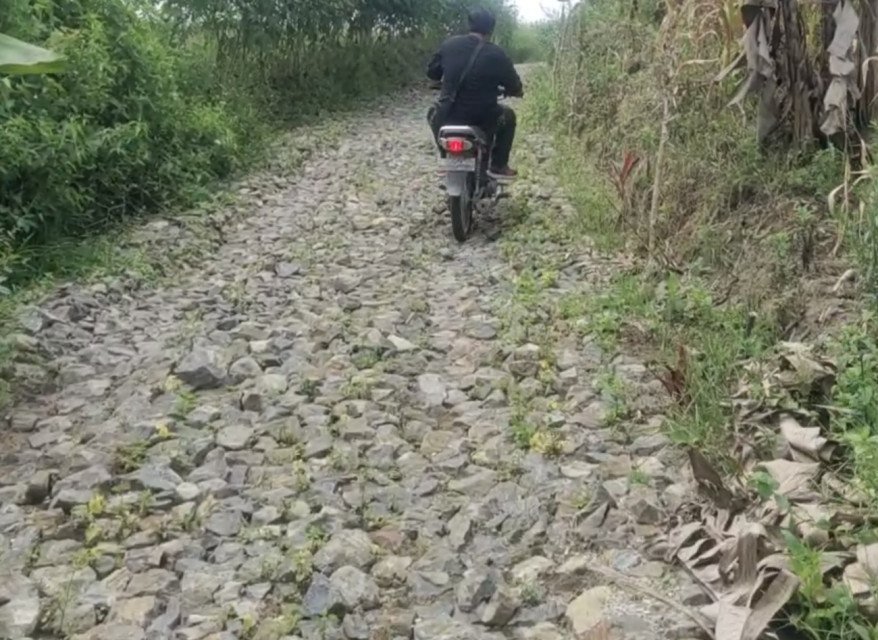 Pak Bupati, Jalan Onderlagh di Nagori Simantin Pane Dame Tidak Layak Dilintasi, Batu Kerikil Besar dan Runcing