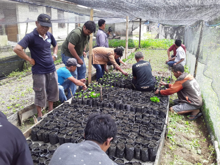 Petani di Siborong-borong Mendapat Dukungan dan Pendampingan dari PT TPL
