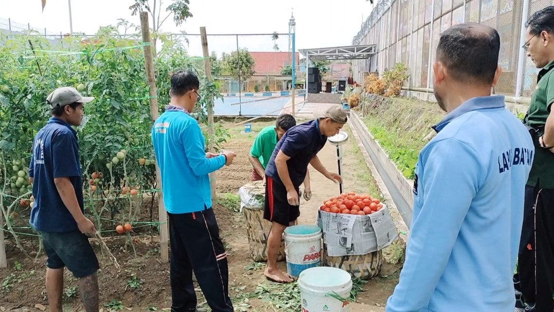 Warga Binaan Lapas Narkotika Kelas IIA Pematang Siantar Manfaatkan Lahan untuk Bertani dan Berkebun