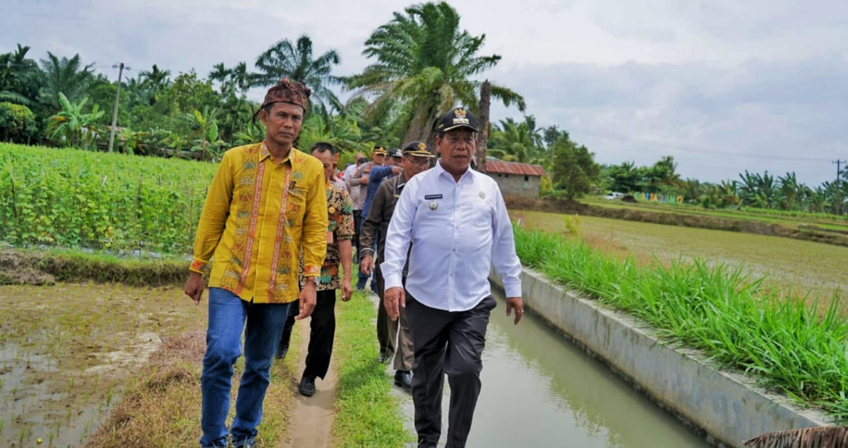 Masyarakat Mengeluh, Bupati Simalungun Turun ke Titik Irigasi